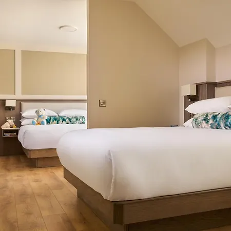 Hotel The 4*